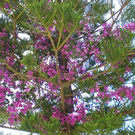 Apartment Panoramic Sunset