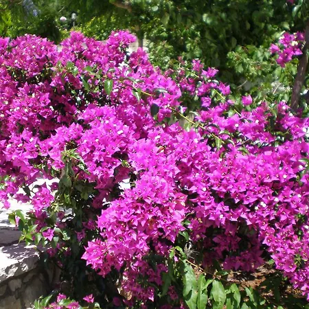 Panoramic Sunset Appartement Kothréas