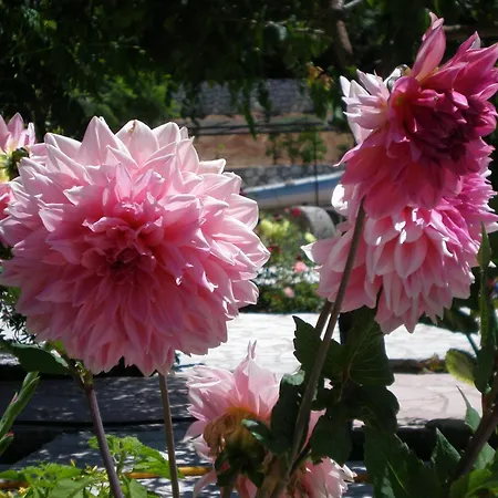 Appartement Panoramic Sunset *
